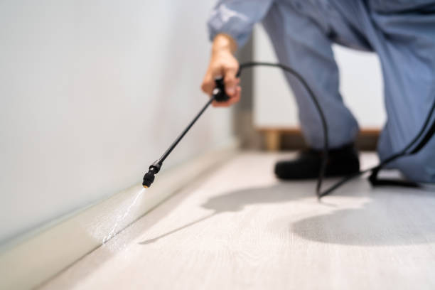 Rodent Entry Point Assessment in Palm Springs