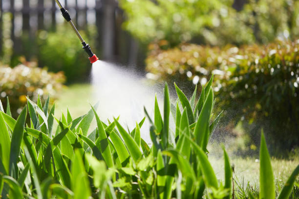 Tamper-Resistant Bait Stations for Rodents in Palm Springs