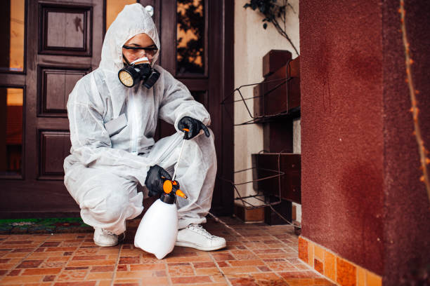 Attic and Crawl Space Rodent Treatment in Palm Springs